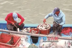 开渔啦！厦门745艘渔船驶向大海，“第一网”海鲜刚上岸就被抢购一空图片