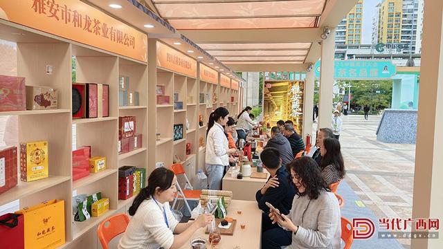 2025黑茶名品展开启秋日茶文化之旅