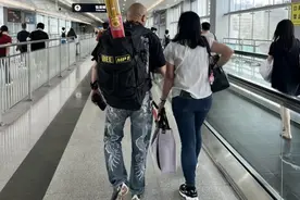 数说“港版春运”：十天北上人次破340万，流量商机在哪？图片