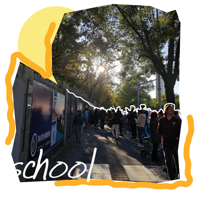 闵行的晚秋，太温柔