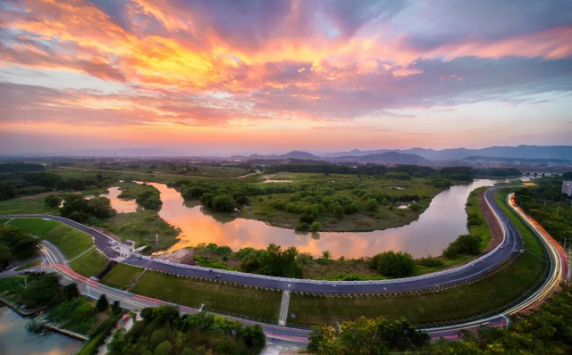 看！西险大塘的“蝶变四重奏”