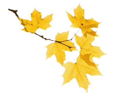 快来打卡！央视镜头下的泸州，这次由谭松韵当“导游”！