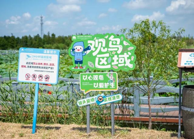 争创国家4A级旅游景区！金山这个景点新增…