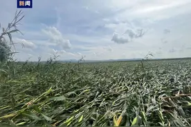 黑龙江一地出现龙卷风图片