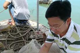 谁将成为广东海鲜下一个“潜力股”？｜海上牧渔记图片