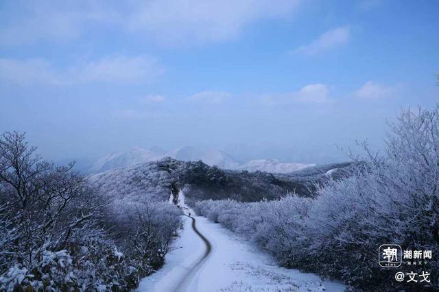 晚潮｜桐杭岗今冬第一场大雪