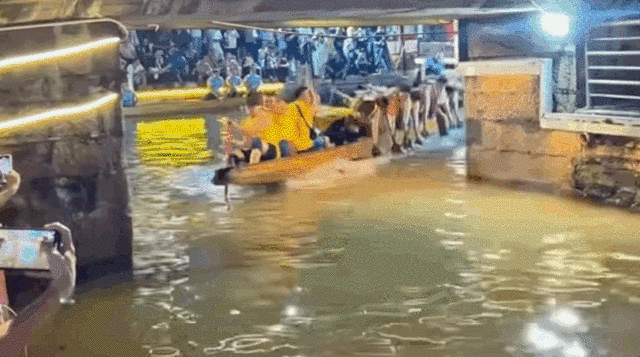 去粤港澳这篇就够了！最新指南→