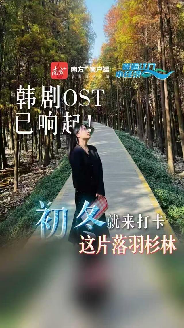 咖啡、露营、夜游船！7期视频解锁江门水畔N种惬意