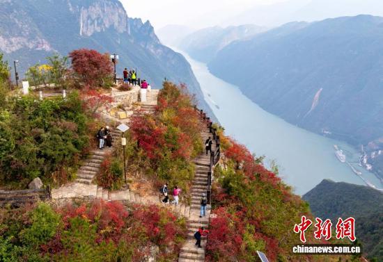 迎来最佳观赏期，长江巫峡两岸红叶美如画