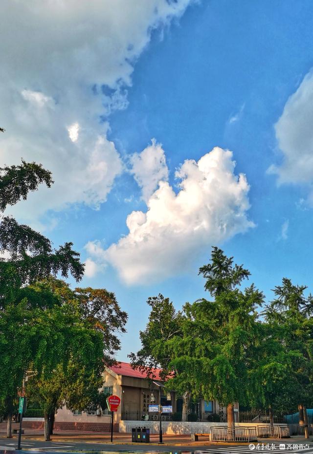 酷暑中的济南，雨后美景如画