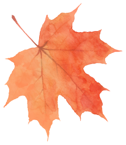 躲进闽西的初冬！来龙岩一键打包古城烟火+爆汁脐橙