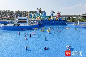 组图|戏水消暑图片