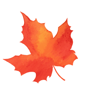 晴天持续！光明小木屋工会会员专享价！星空房车、烧烤露营、卡丁车…住宿体验官等你来→