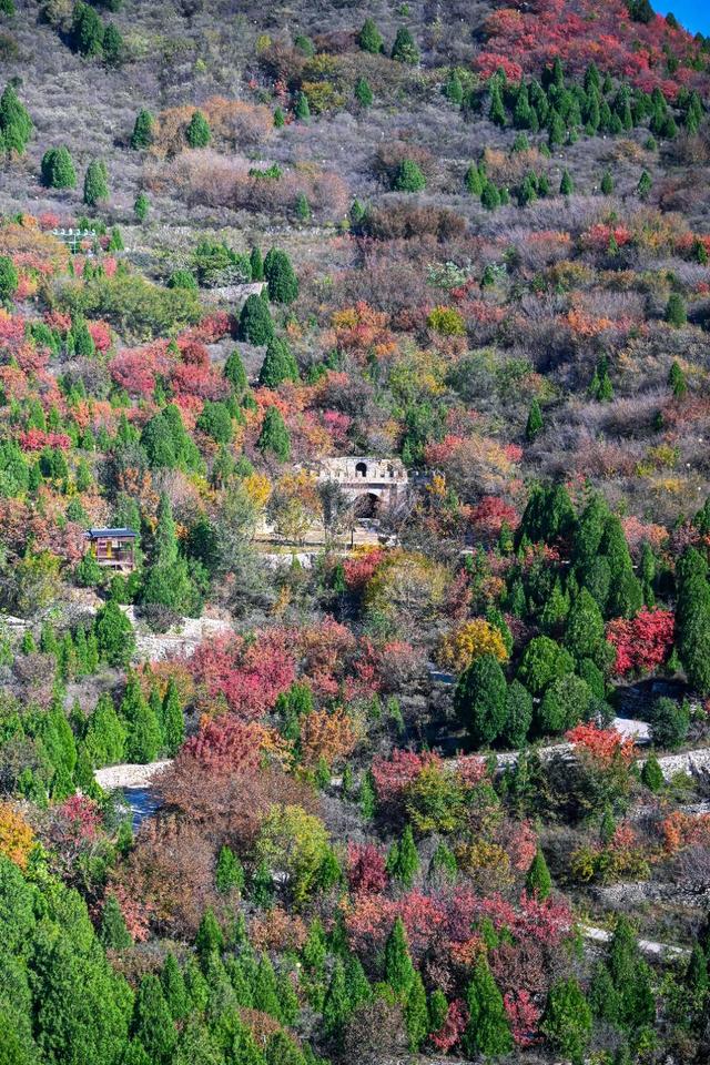 壹点号·秀山东|济南这座古寨藏了最浓的齐鲁秋色