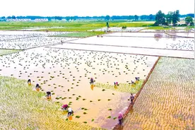 多措并举抗旱抢种图片