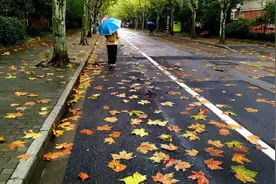 这几天心情不好？警惕“悲秋综合征”图片