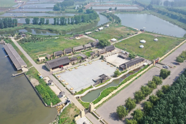 沈阳推出9条秋季乡村游精品线路，稻浪红枫、硕果肥蟹！