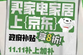 京东11.11遇上政府补贴 家电低至5折带动山东家电消费热潮图片