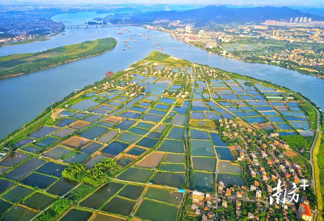 南海文旅玩出新高度！游艇直升机畅游环两江
