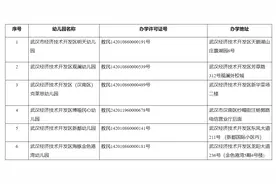 武汉经开区6所民办幼儿园停止办学图片