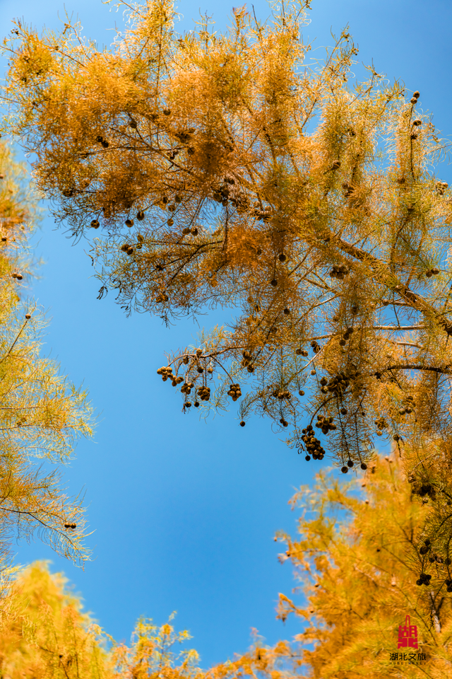 抓住晴天尾巴，徒步青龙山！