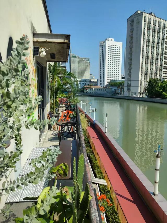 秋日露台主义正当时，看一场夕阳落进梧桐海