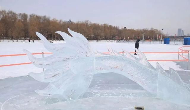 【推荐】南湖公园的冰龙又来啦，今年，还多了冰凤凰