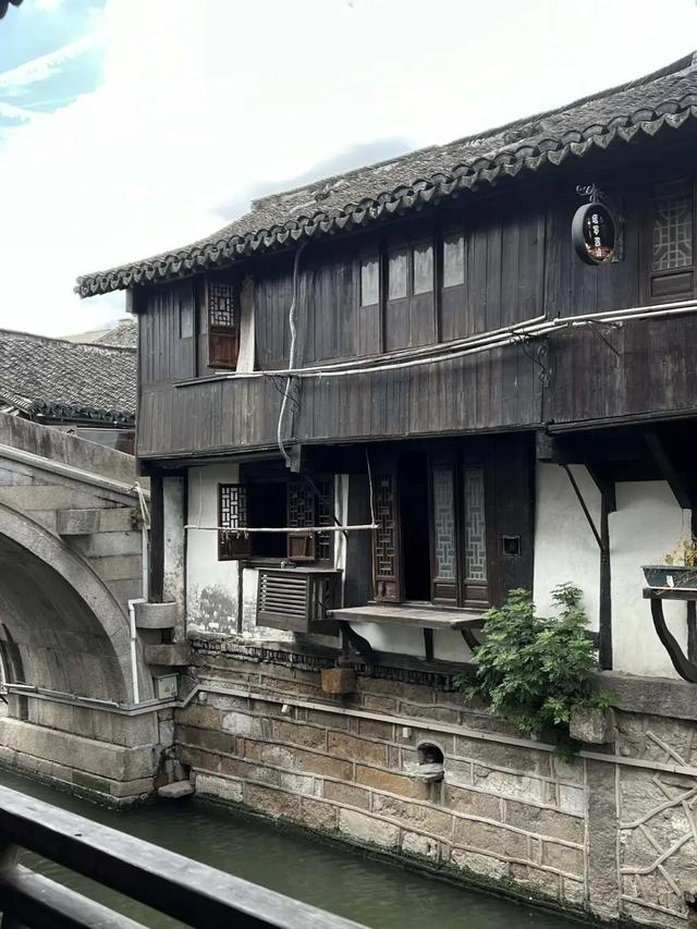 上海夏日｜微风解暑 绿意漫游