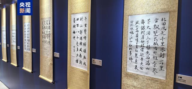 2025上合组织国家文明对话在津开幕