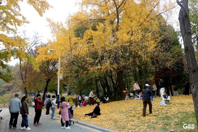 街角的光影、海边的风、林间的静谧……Mark秋日限定诗意