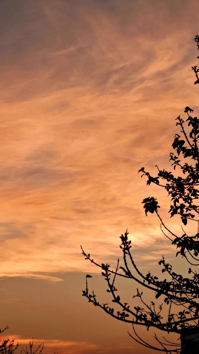 石林的冬天，藏着“延迟版”秋景