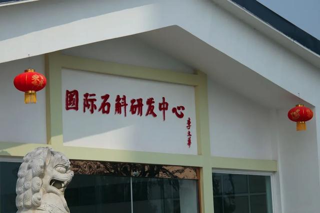 周末就来青白江！又研学又度假，安排！