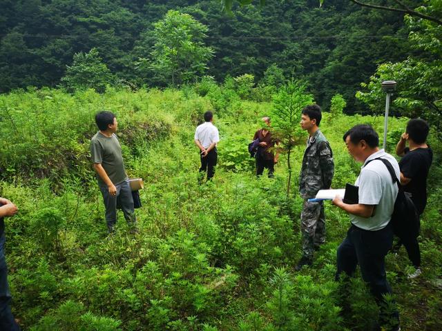 志愿者招募｜2025年湖北南河国家级自然保护区公民科学家招募令