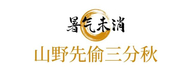 团团的二十四节气｜处暑至 秋意生，来攀枝花，把夏天未尽的热烈过成秋天最初的诗