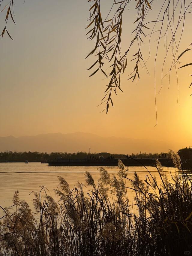 绒白胜雪！西安的芦苇仙境，氛围感拉满