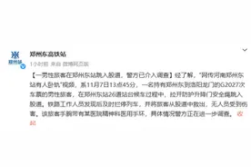 郑州东高铁站：一带有精神科医用手环男性旅客跳入股道被救出图片