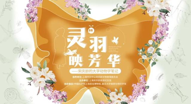 沪上金秋文博观展指南，免费/付费攻略附地址