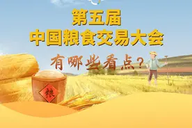 一图读懂丨第五届中国粮食交易大会有哪些看点？图片