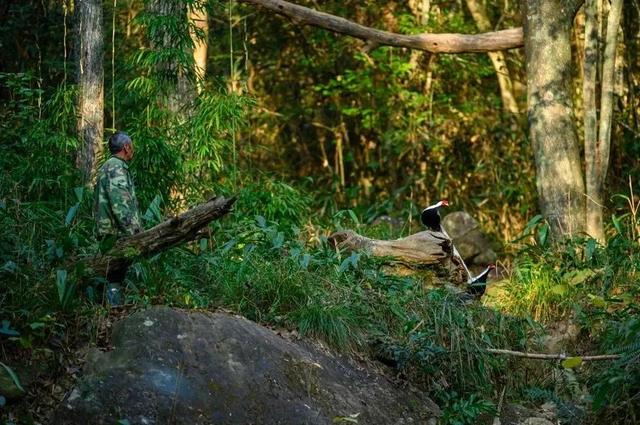 航旅融合 | 抽免费机票啦！快来解锁三明 “村游” 奇遇记