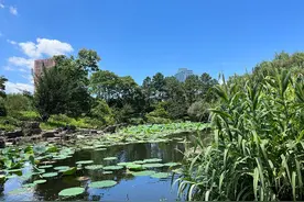 乘风盛夏，钱塘区送上城市骑行指南图片