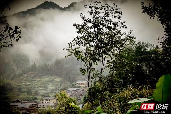 当深秋雾色邂逅古村，新化下团村上演现实版山水秘境