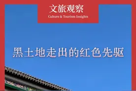 那年，他们风华正茂图片