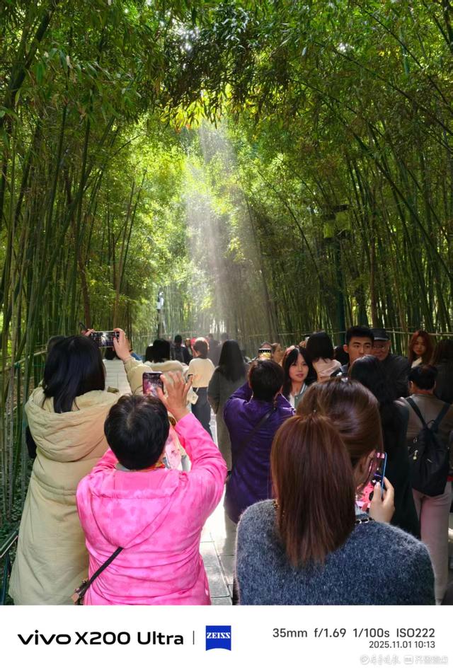 趵突泉公园里游人如织，我在记录