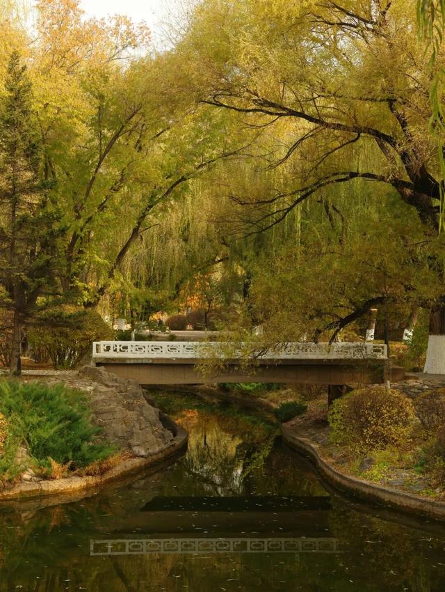 听，呼和浩特秋天的BGM正在你耳边播放