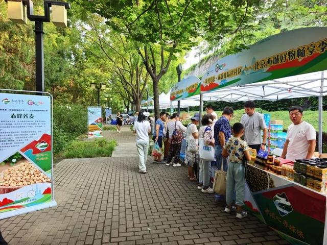 古韵夜未央 月坛仲夏节 月坛街道消夏夜市来啦！六大专区开启夏夜美好时光