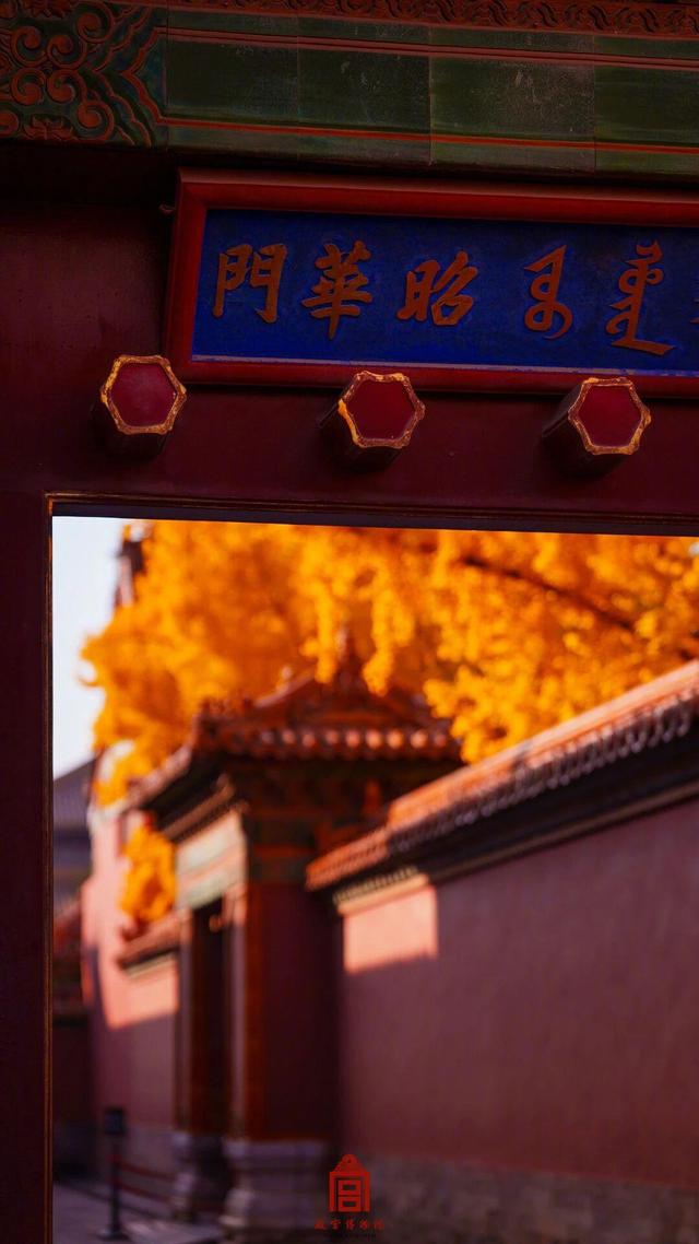 故宫秋日壁纸，上新了！