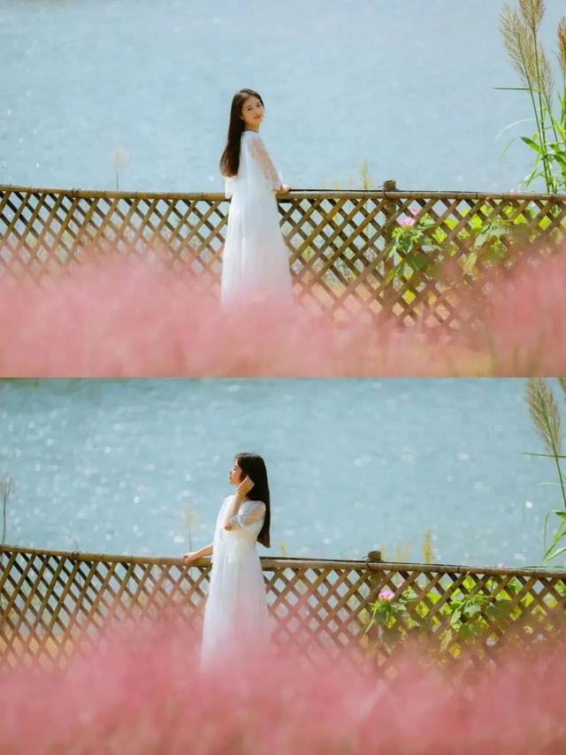 街头大量出现！常州人都已经捡上了