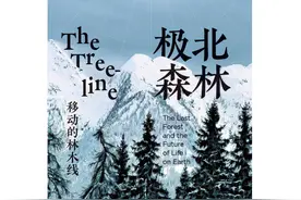 当人类变成化石，树木仍将屹立不倒图片