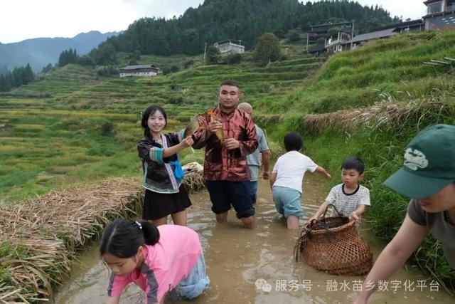 藏在桂北深山里的秘境！杆洞乡三天两夜， 梯田、草原、苗寨旅游打卡
