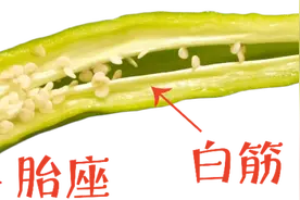 辣椒、大葱、洋葱的“辣”是同一种吗？图片